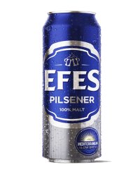 EFES 5% Can